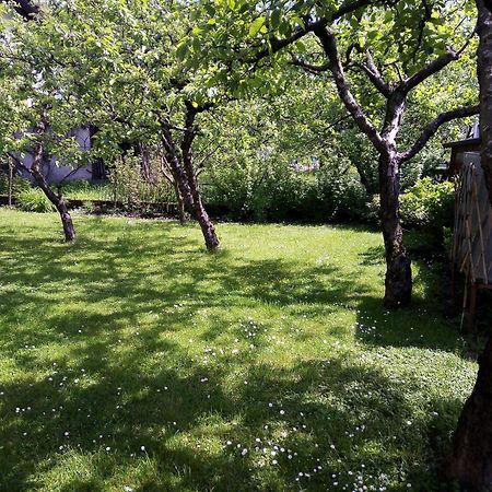 Apartma Rutar Tolmin Exterior photo
